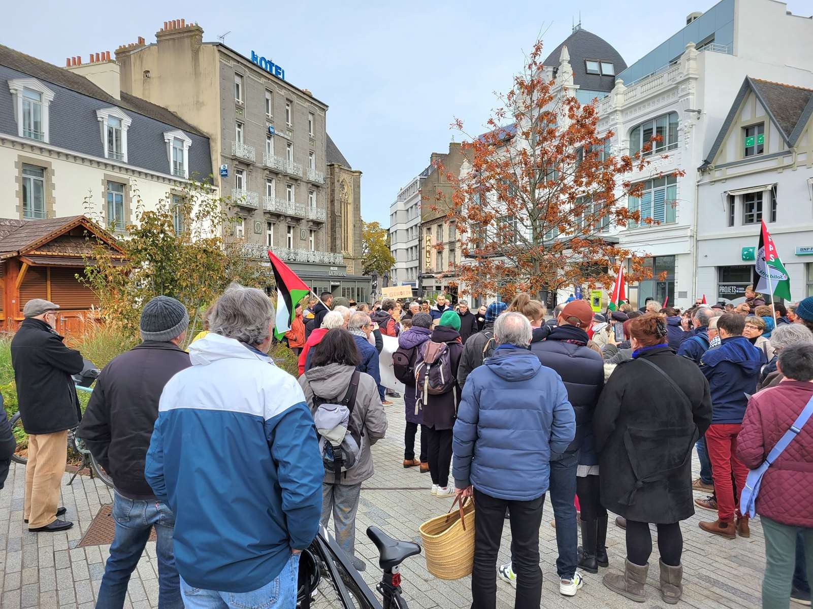 Palestine 11 nov 8 
